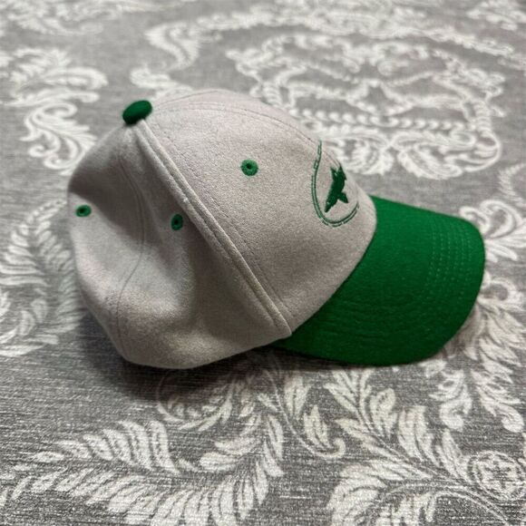 Dogfish Head Craft Brewery Snapback Hat Gray Unisex Adjustable - Picture 3 of 5